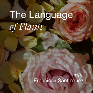 The Language of Plants with Francisca Santibanez