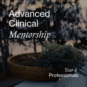 2024 Advanced Clinical Mentorship Year 4 Professionals