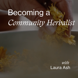VIDEO RECORDING: Becoming a Community Herbalist with Laura Ash