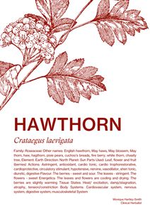 Hawthorn Monograph